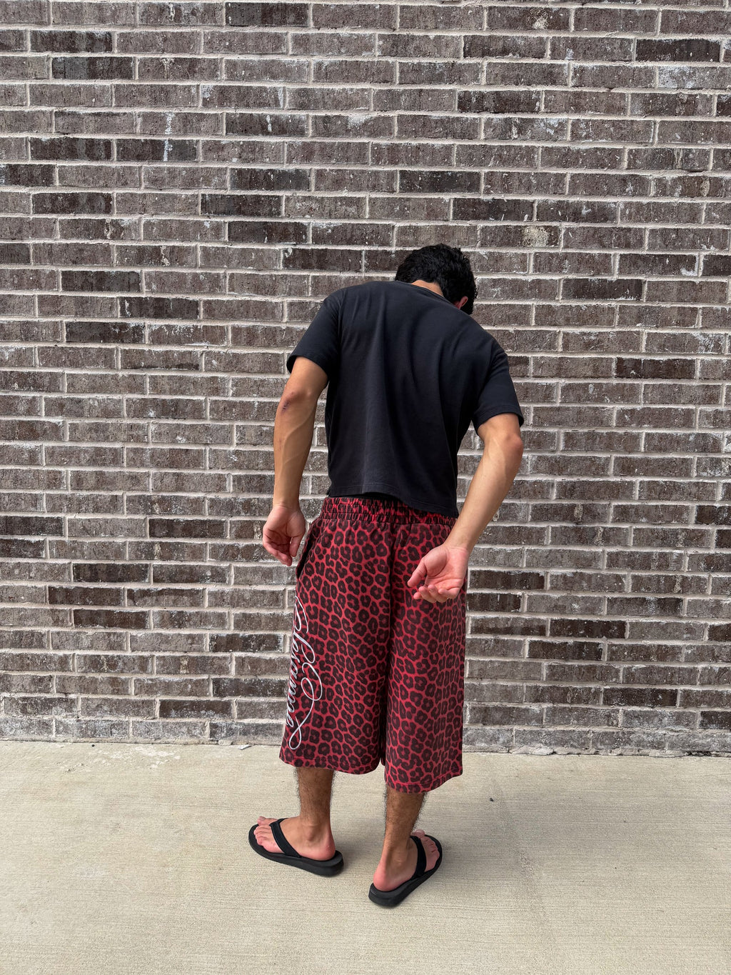 Red Cheetah Shorts